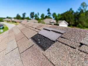 shingle-damage-durability-1024x683.jpeg